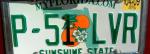 P-51 LVR License Plate cropped