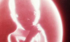 space odyssey 2001 baby pic the www guardian com