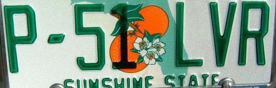 P-51 LVR License Plate cropped